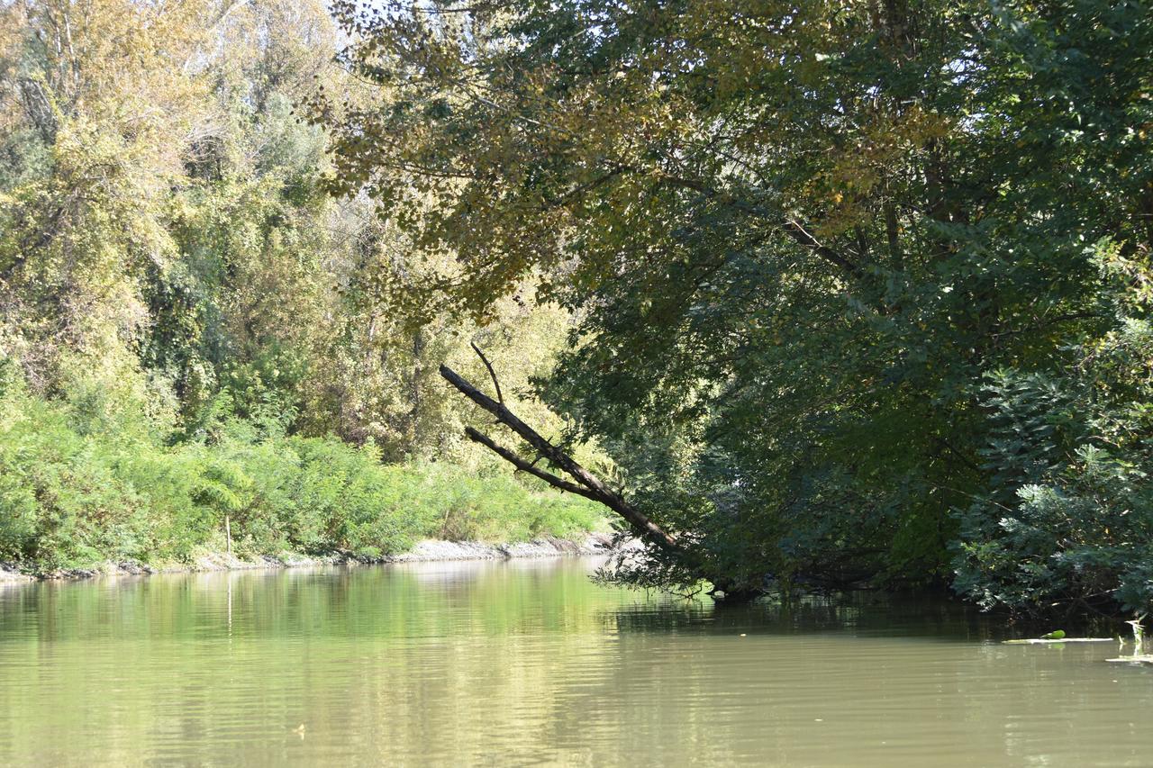 Bence Apartman Villa Tiszababolna Bagian luar foto